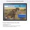 ArtToFrames 27.57x19.68 INCH / 70x50 CM Puzzle Frame for 1000 piece Puzzles.This 1.25 Inch Custom MDF Frame for Puzzles Comes with Economy Acrylic, Available in Multiple Colors